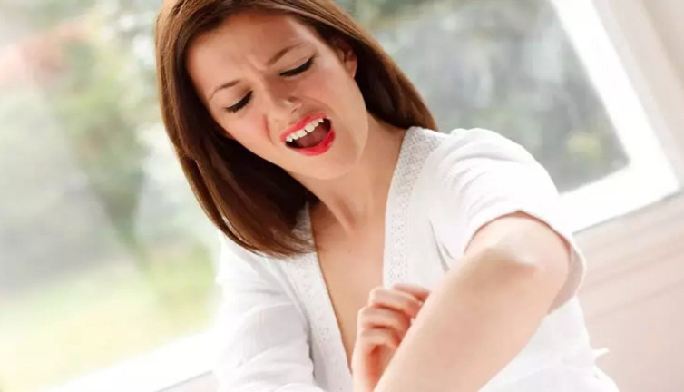 Sivrisineklerden kurtulmanın asırlık sırrı ortaya çıktı! Büyükannelerden miras kalan formülle yaz kabusu tarih olacak