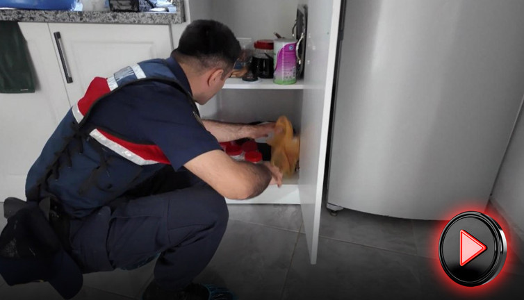 Jandarma çeteyi çökertti! Milyonluk vurgun