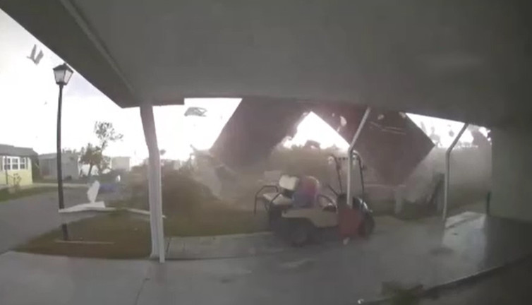 Ev at gibi şaha kalktı! Sesi korku saçtı