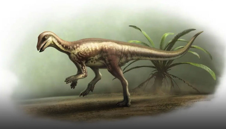 Bilim insanlarından yeni tür keşfi: Köpek benzeri dinozor bulundu