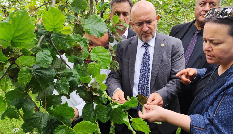 TBMM, Giresun’daki zirai don hasarını yerinde gördü