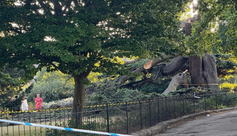 Parkta trajik ölüm: Devrilen ağacın altında kalan küçük kız öldü arkadaşı ağır yaralı