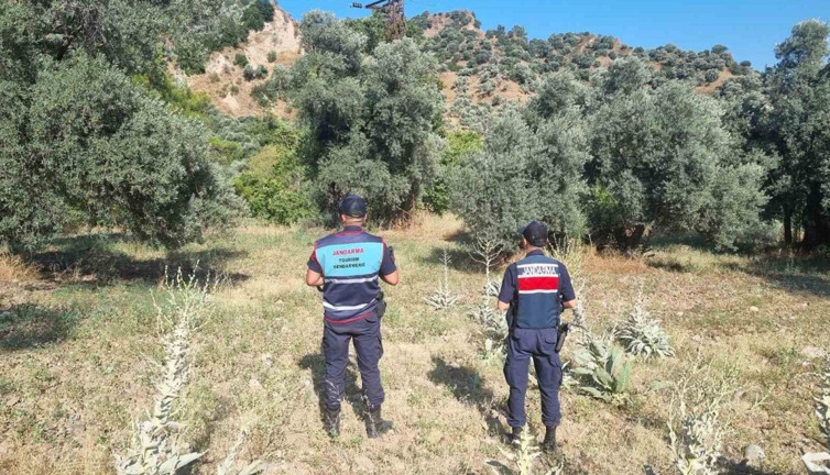 Mangal keyfi pahalıya patladı: 13 Bin TL ceza!