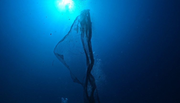 Hayalet ağlara karşı seferberlik!