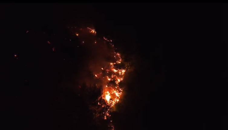 Adana'da yangınla ilgili son gelişme