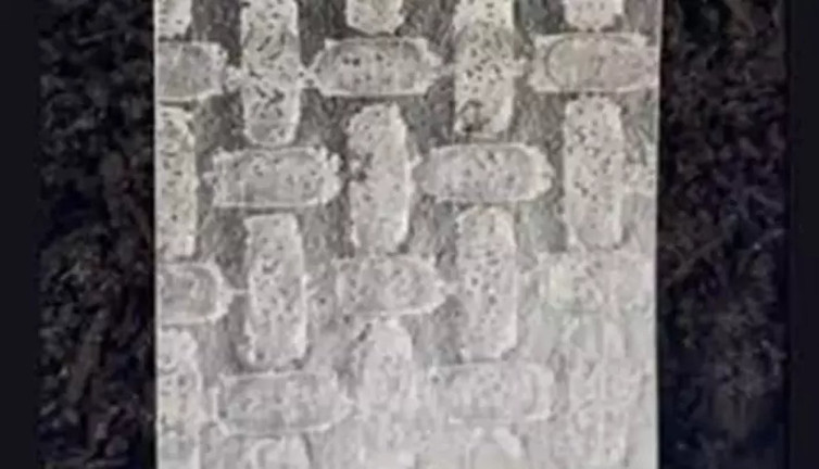 Pirinç yufkasından teknoloji devrimi! Robotik yenilik