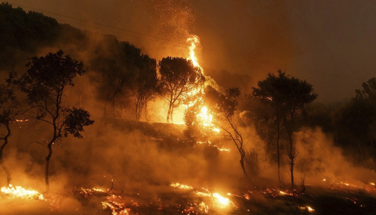 Mehmetçik'in yangınlara müdahale etmeme sebebini açıkladı. Emekli Tümgeneral sessizliğini bozdu...