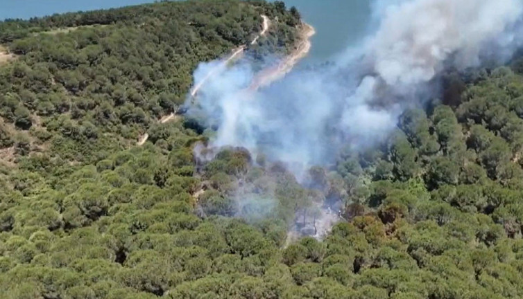 İstanbul Sultangazi'de orman yangını!