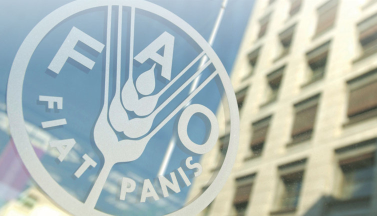 Türkiye, FAO konsey üyeliğine seçildi