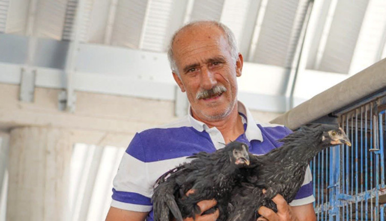 Fatsa’da tarım için dev adım! Hem zararlıyı bitiriyor hemde kazandırıyor