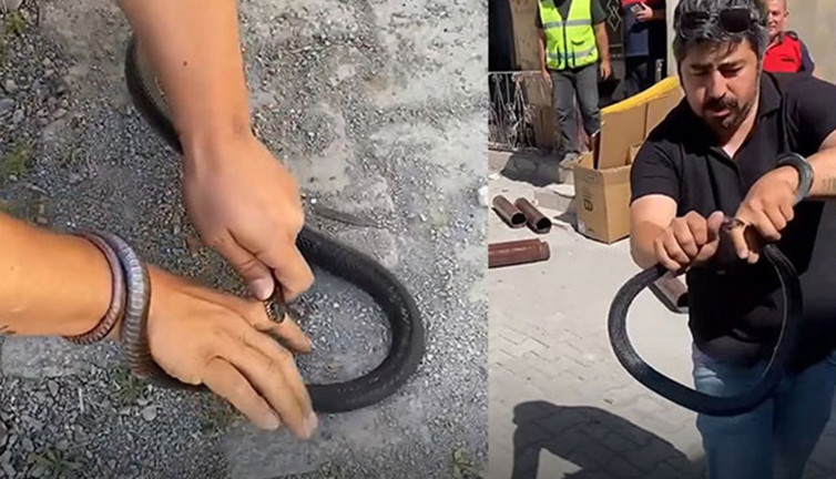 'Yılancı Kemal'i 1 metrelik kara yılan soktu. Evin içine girmişti