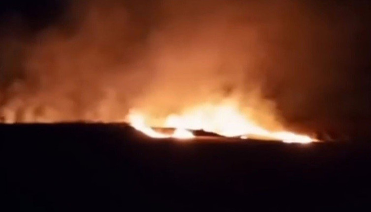 Buğday tarlalarını alevler yuttu