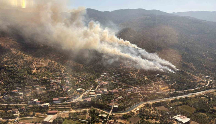 Aydın’da orman yangını (6 Temmuz 2025)