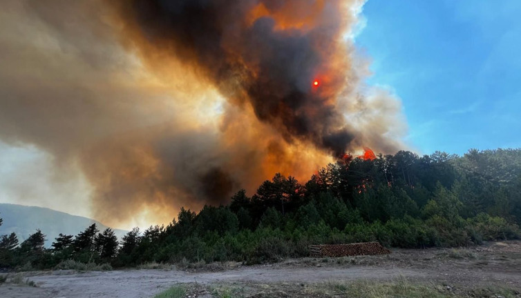 Balıkesir'de orman yangını (8 Temmuz 2025)