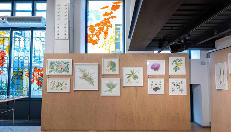 Anadolu’nun Gizli Hazinesi: Bitki Mirası Sergisi