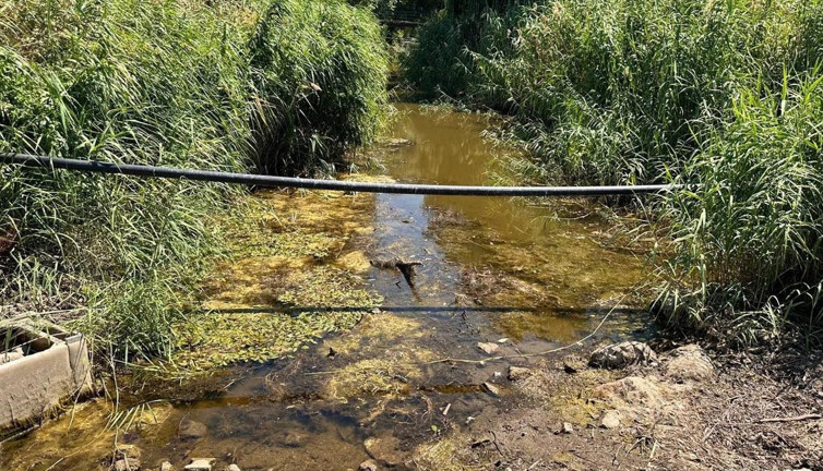 Marmara’nın en büyük doğal gölüydü! Kuraklık vurdu derede hayat bitti