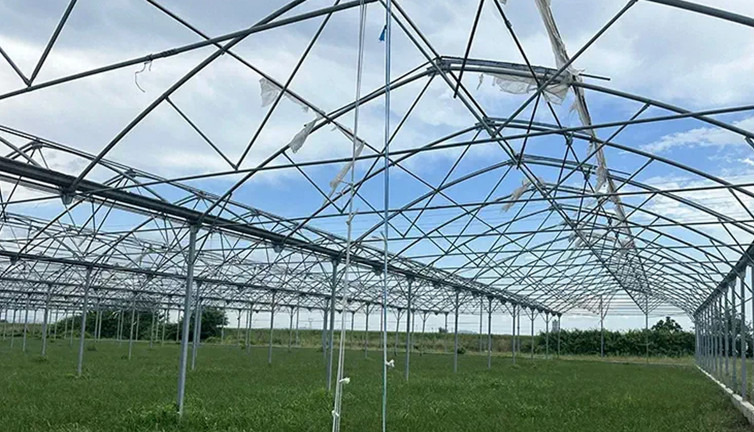 27 yaşındaki genç serada yere yığıldı! Nişandan sonra gelen acı haber