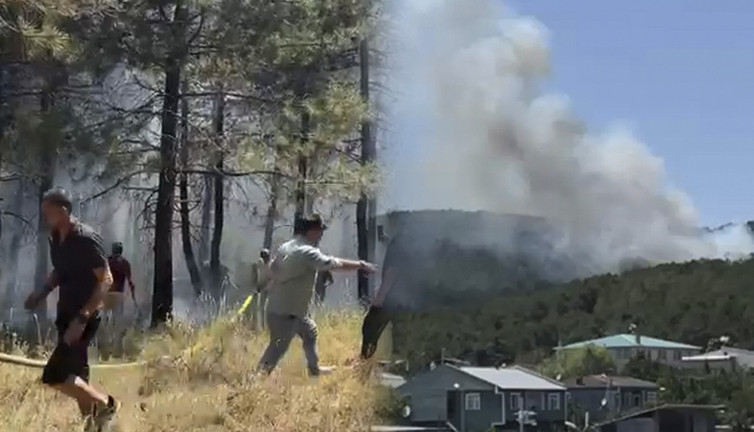 İstanbul'da orman yangını!