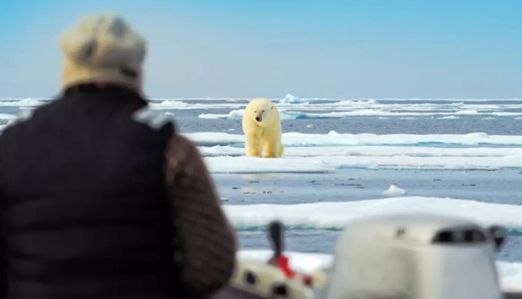 Kutup ayılarıyla omuz omuza olan bir kasabanın çarpıcı hikayesi