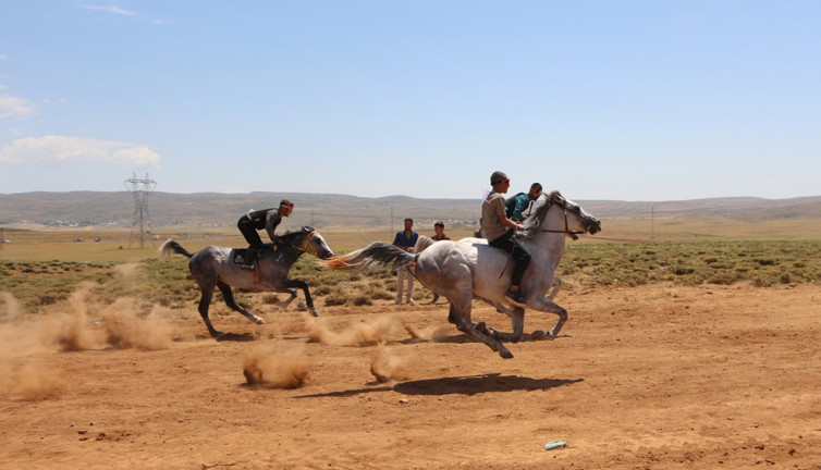 Atlar tozu dumana kattılar