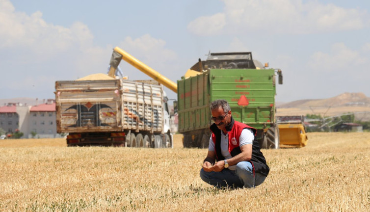 Kuraklık Vanlı çiftçileri vurdu