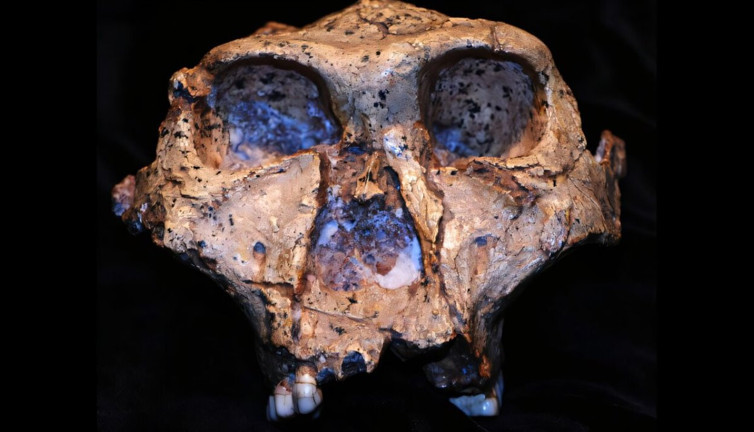 Arkeologlardan 2 milyon yıllık keşif: İnsanlık tarihinde önemli bir halka daha gün yüzüne çıktı