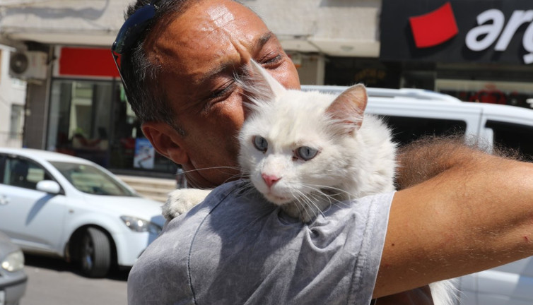 Kayıp sağır kedi ‘Pars’ eve döndü: Bu kez sevinçten hıçkıra hıçkıra ağladı! 10 Bin TL ödül reddedildi
