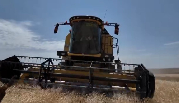 Kars’ta hasat mevsimi başladı