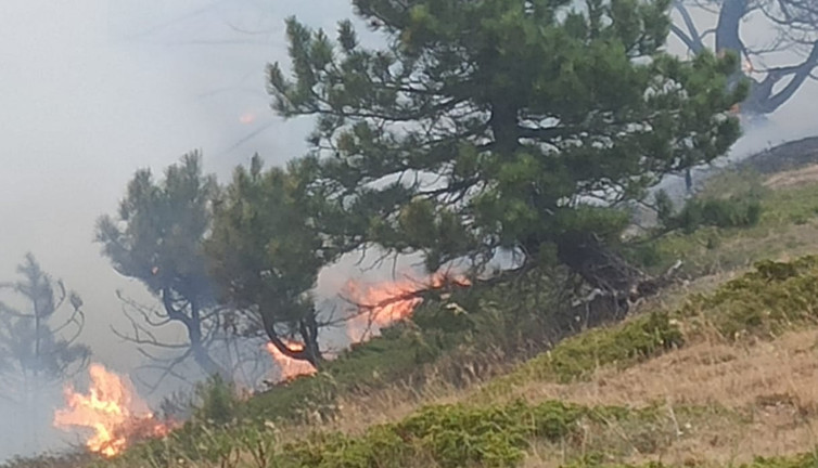 Çay ateşi ormanı yaktı! Konya'da yangın felaketi: 1 kişi gözaltına alındı