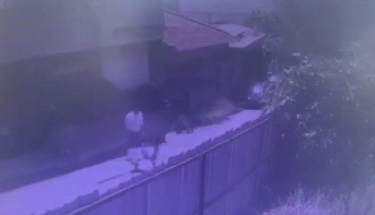 500 metre menzilli tüfekle vuruldu! Ölümünde şok detaylar