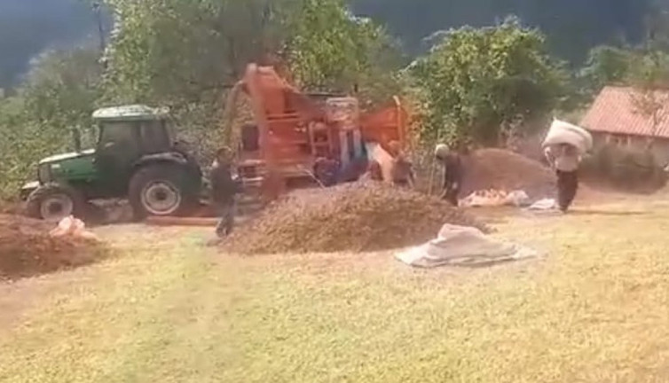 Ordu’da fındık sezonu... Patoz ücretinin saati dudak uçuklattı! Küçük üretici endişeli