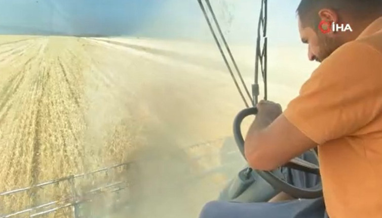 Buğday hasadı devam ediyor