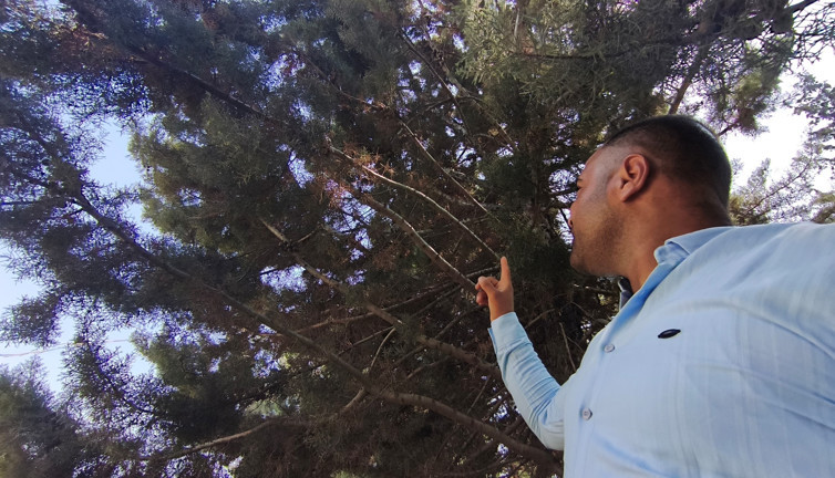 Ağaçtan yükselen sese baktı göz göze gelince hemen kaçtı. Herkesi uyardı