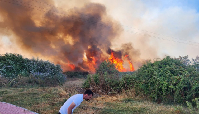 Bursa’da çiftlikte çıkan yangın 3 yere sıçradı