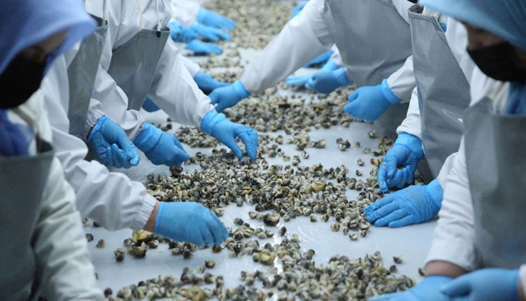 Türkiye'de kimse tüketmiyor! 5 ülkeye satıldı, ihracatta 4.5 milyon dolar gelir getirdi