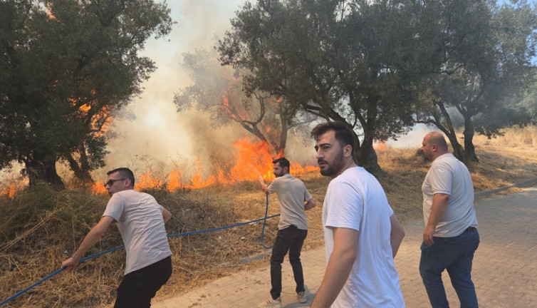 20 zeytin ağacı yandı: 2 çocuk gözaltında