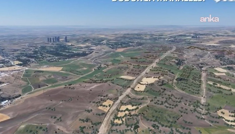 Mansur Yavaş büyük katliamı açıkladı. "Düzeni durduramadık"