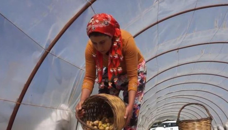 İşçilere müdür maaşı veriliyor. Resmi kurum açıkladı