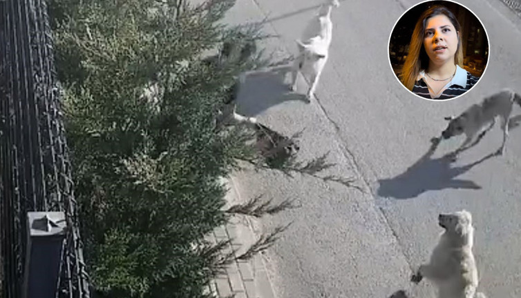 Güvenlik görevlisi kadının canını zor kurtardı! Sokak köpeği birden üstüne atladı
