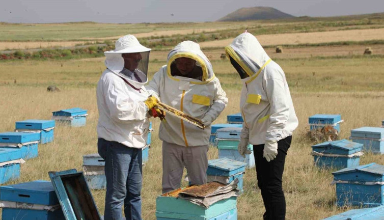 Kars'ta arıcılar umutlu! 2025’te rekor bekleniyor