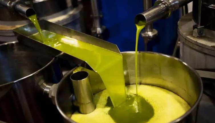 Türk markalı zeytinyağının satışı Avrupa'da yasaklandı. Cam şişelerde ihraç edilmişti