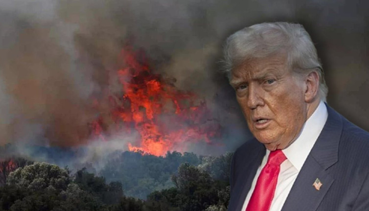 Orman yangını Trump projesi mi?