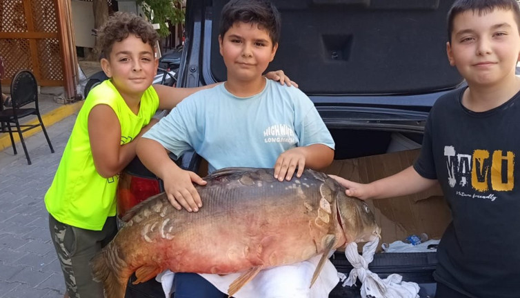 Amatör balıkçının oltasına takıldı: Dev sazan Hayrabolu’yu salladı!