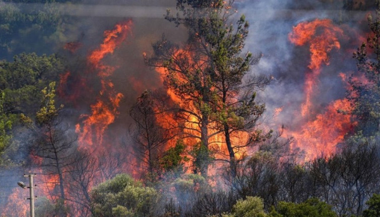 Türkiye’nin dört bir yanındaki orman yangınlarıyla ilgili uzmanlardan hayat kurtaran uyarılar