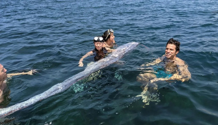 Kıyamet yılanı yeniden sahneye çıktı! Bakın neyin habercisi