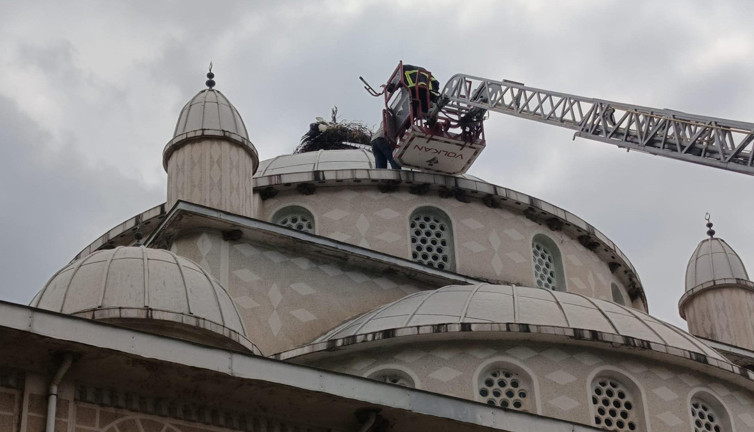 İznik’te leylek kurtarma operasyonu