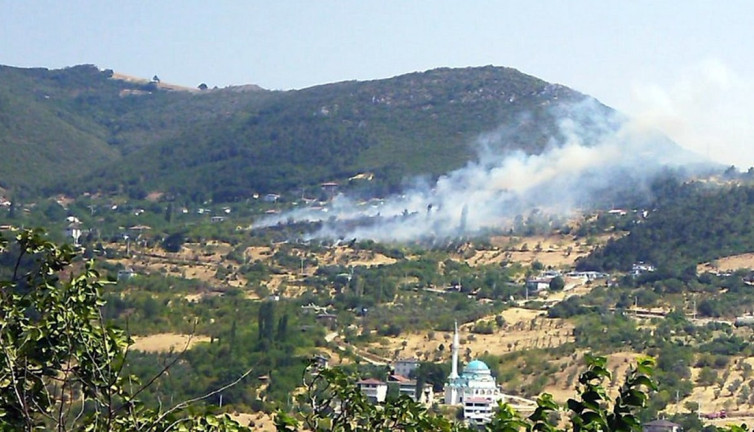 Geyve’de ot yangını paniği: Orman son anda kurtuldu!