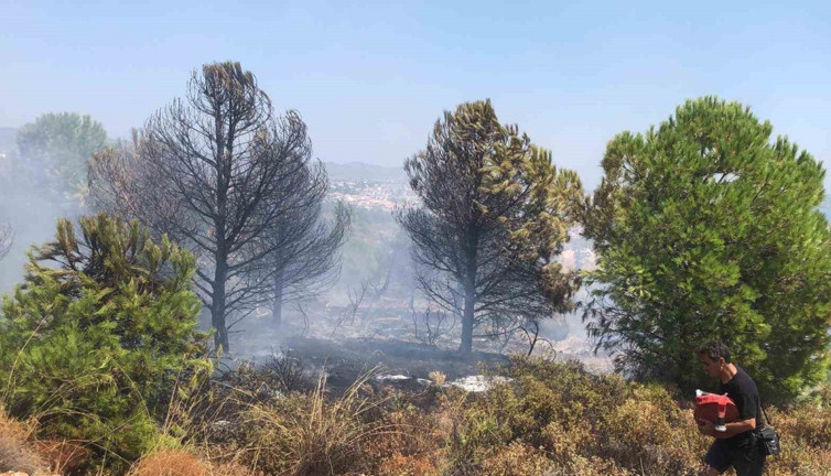 Panaroma Tepesi’nde yangın alarmı! Ekipler seferber oldu