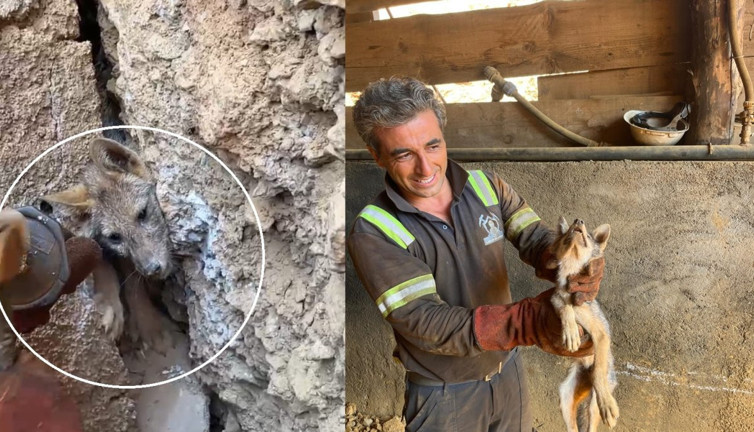 Kaya çatlağında mahsur kaldı: İşçiler hemen yardıma koştu!