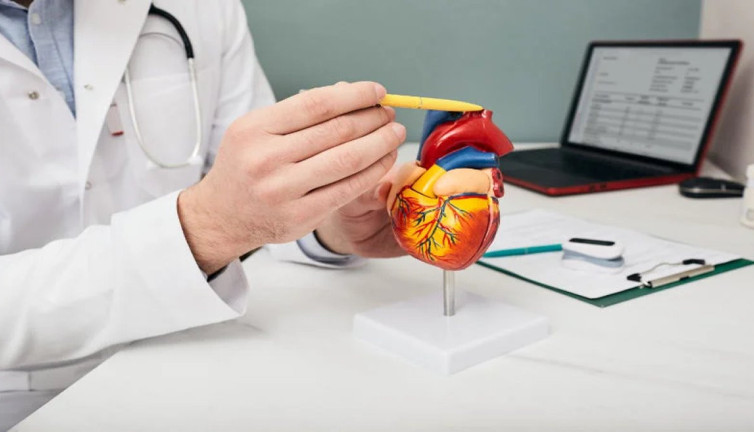 Kalbin sessiz devrimi! Ameliyatsız kapak onarımı